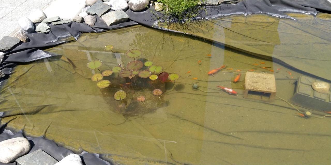 Haus Kiko Lägenhet Velden am Wörthersee Exteriör bild