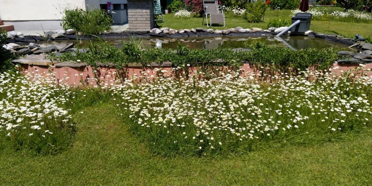 Haus Kiko Lägenhet Velden am Wörthersee Exteriör bild
